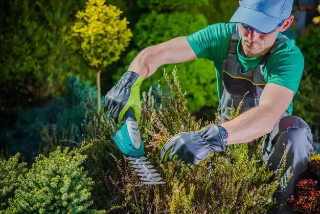 landscaping services Glen